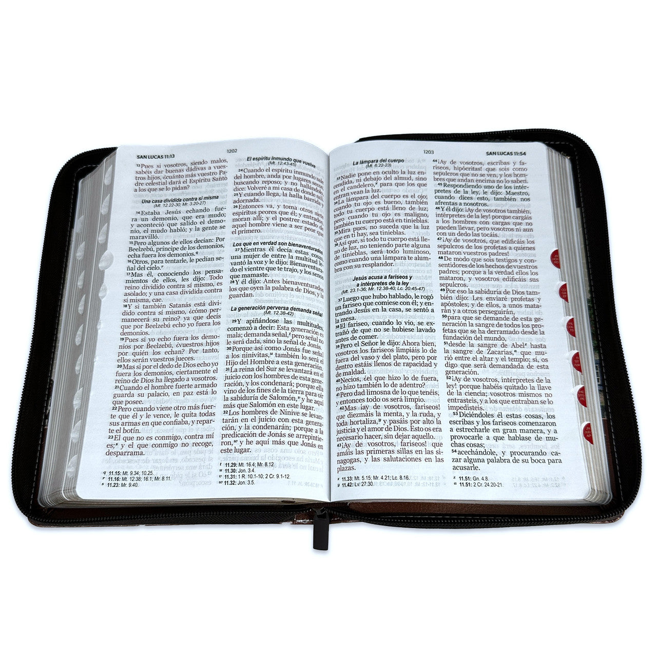 Bible with Large Print Closure 12 points RV1960 imitation. brown and scarlet floral with index