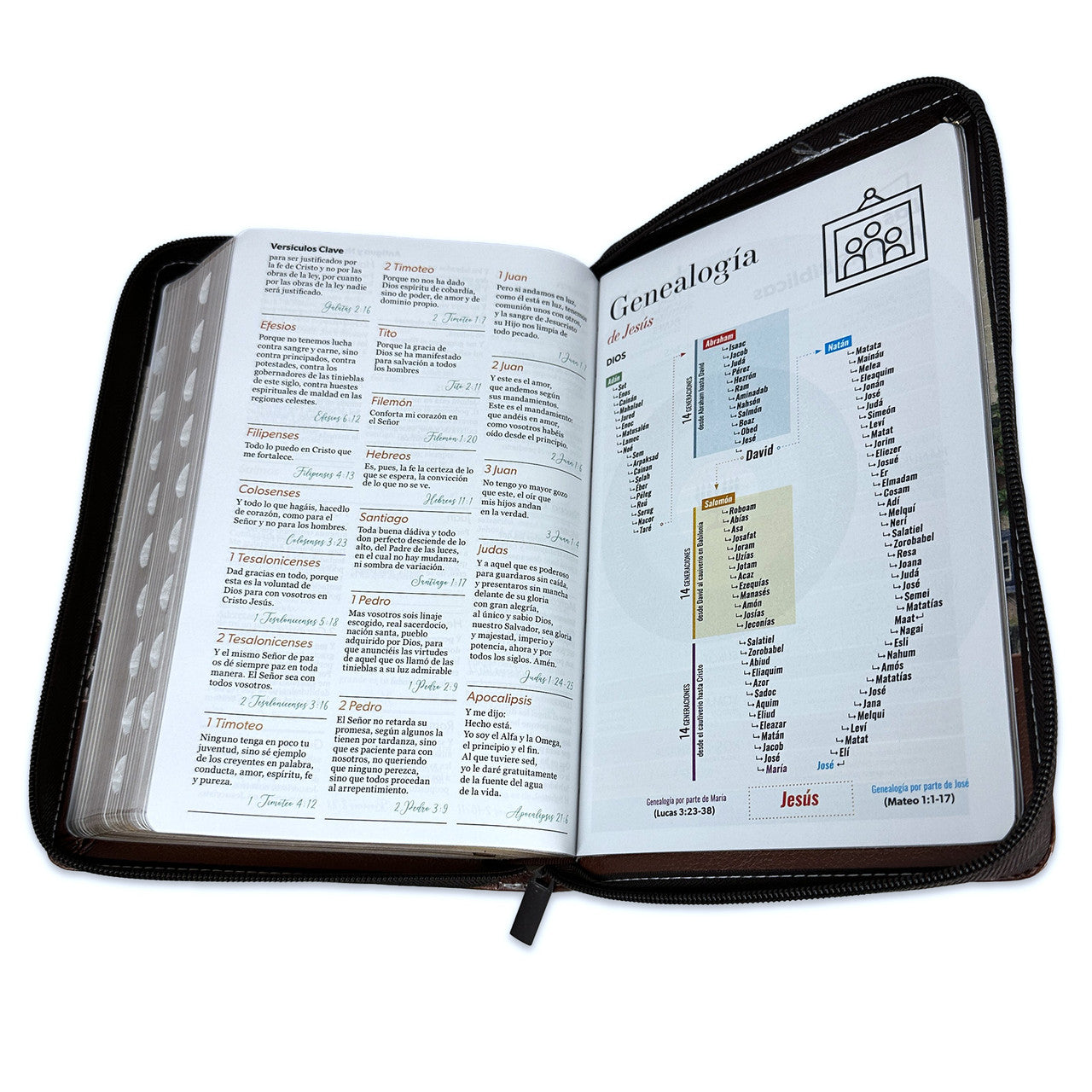 Bible with Large Print Closure 12 points RV1960 imitation. brown floral with index - Me and my house