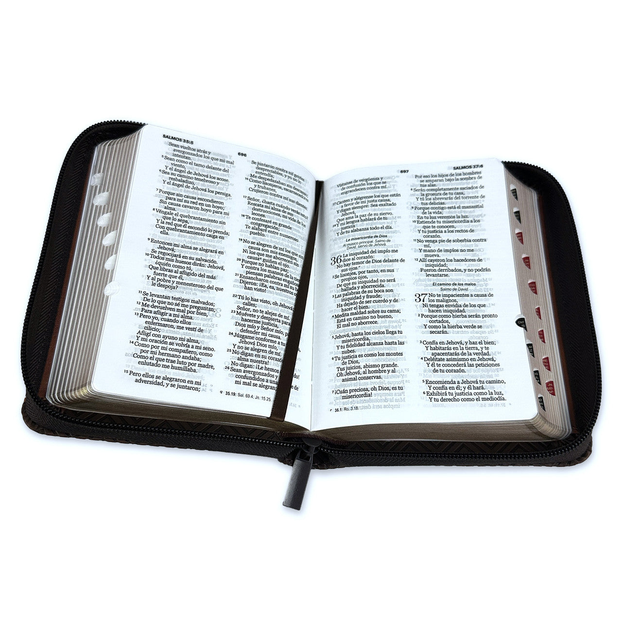 RV1960 Pocket Bible with Zipper, imitation leather duotone brown with index
