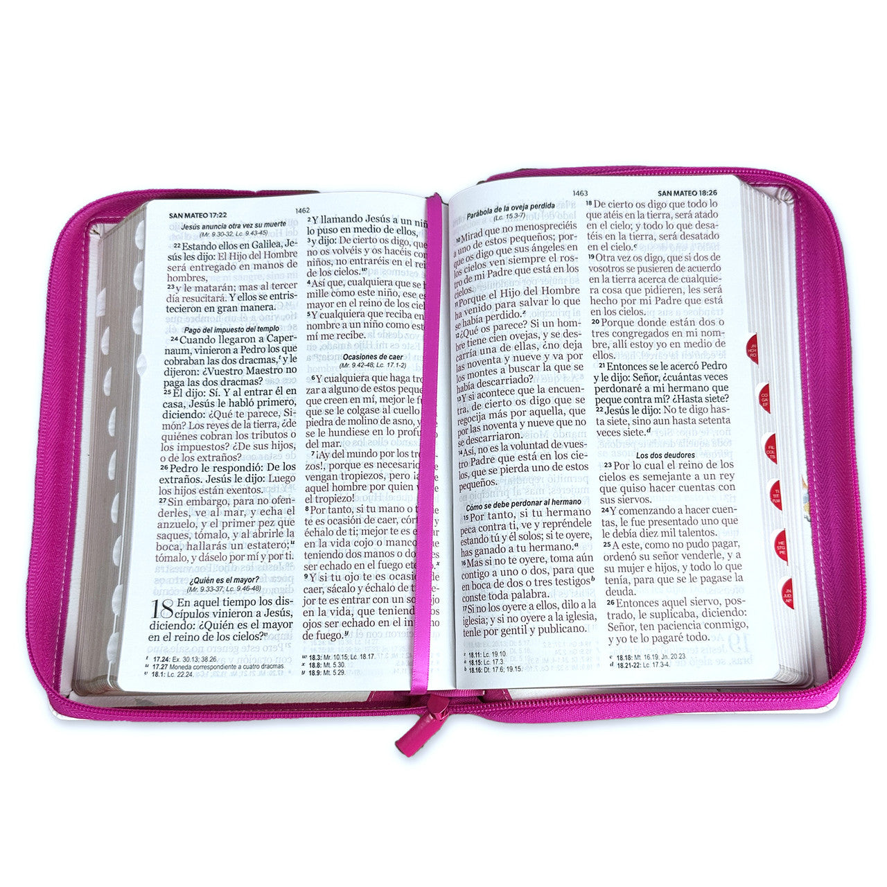 Bible with Closure Giant Letter Manual 14 points RV1960 imitation leather floral butterflies fuchsia and white floral with index