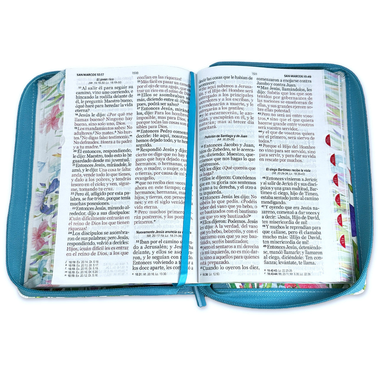Bible with Manual Giant Letter Closure 14 points RV1960 imitation floral leather turquoise butterfly with index and floral edge