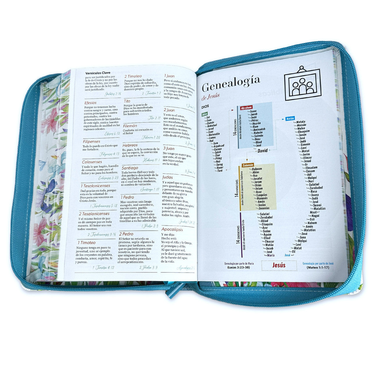 Bible with Manual Giant Letter Closure 14 points RV1960 imitation floral leather turquoise butterfly with index and floral edge