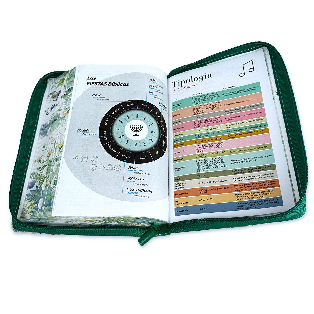 Bible with Manual Giant Letter Closure 14 points RV1960 imitation green butterfly floral leather with index and floral edge