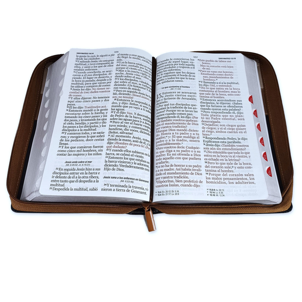 Bible with Closure Giant Letter Manual 14 points RV1960 imitation brown tricolor leather with index