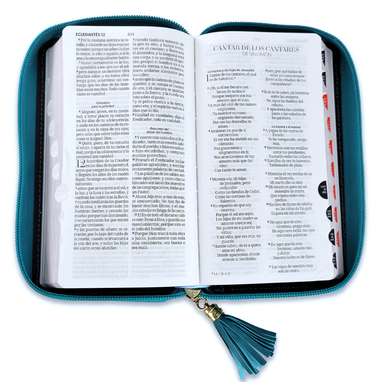 RV1960 Checkbook Bible, imitation leather turquoise and white with index