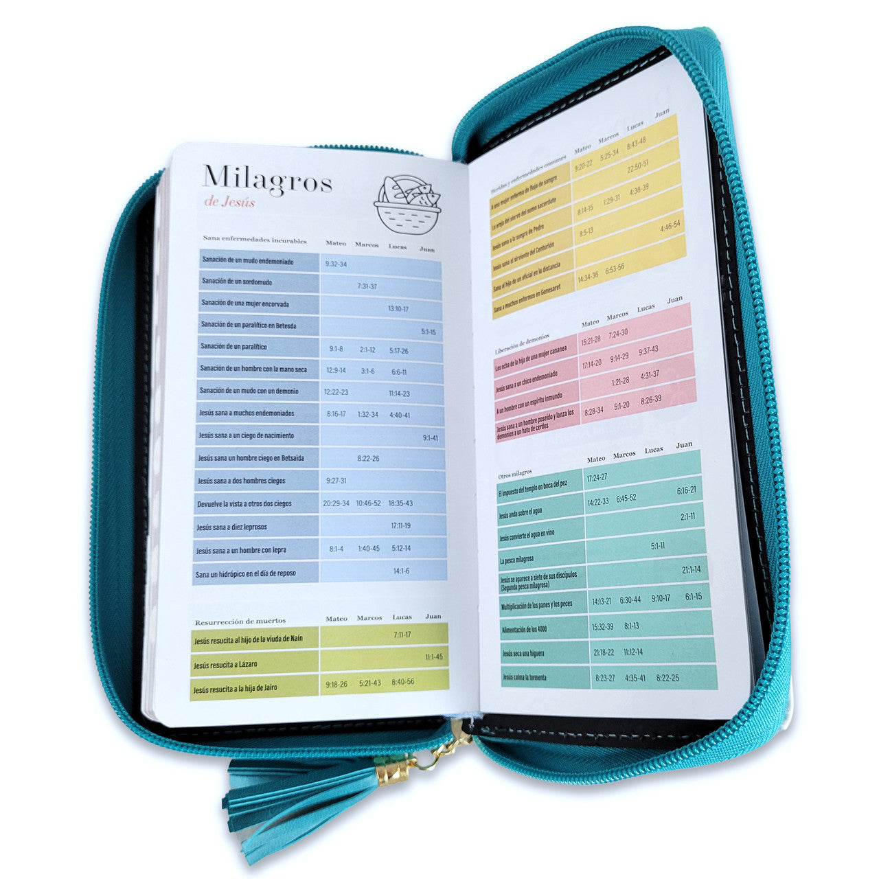 RV1960 Checkbook Bible, imitation leather turquoise and white with index