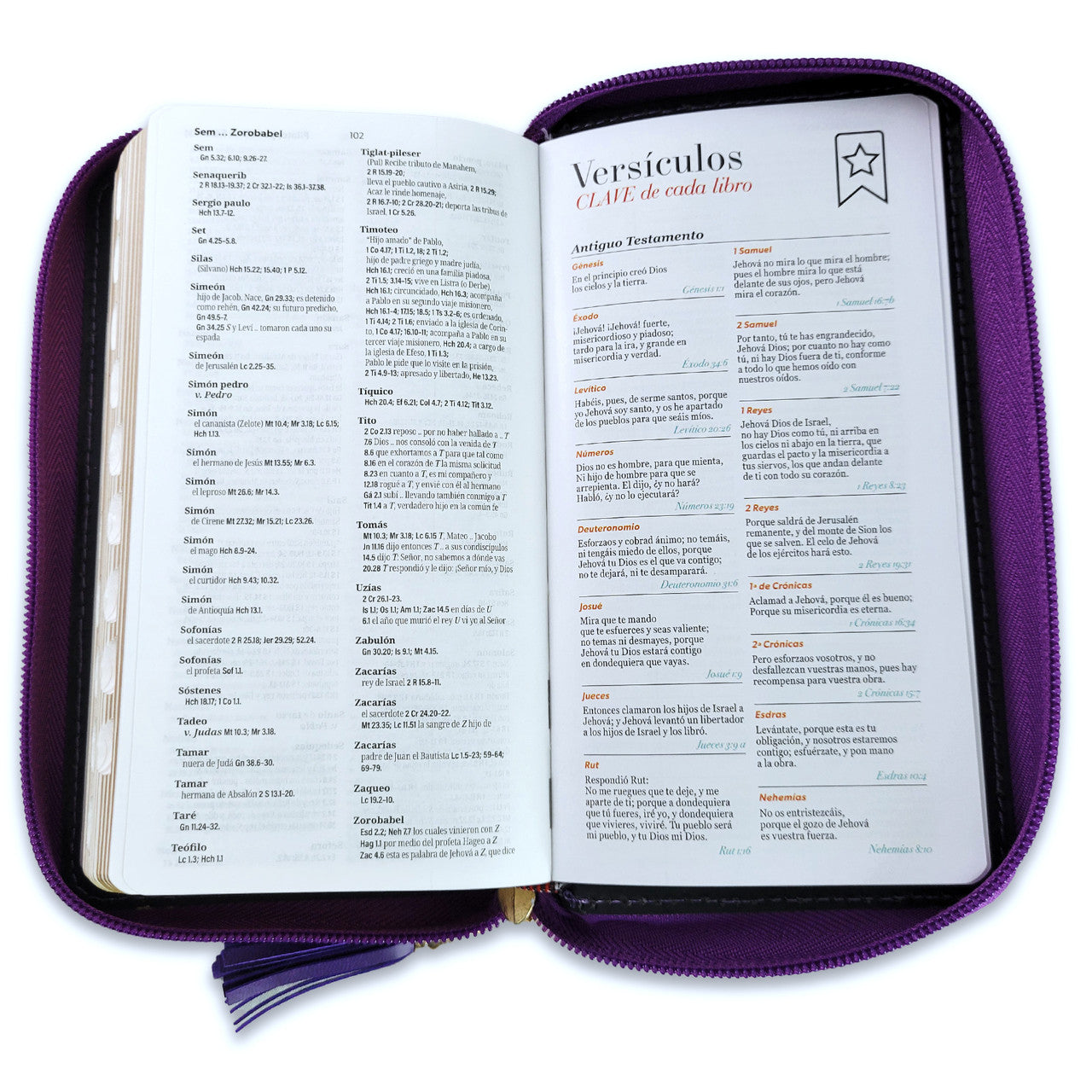 RV1960 Checkbook Bible, imitation lilac and light grey leather with index