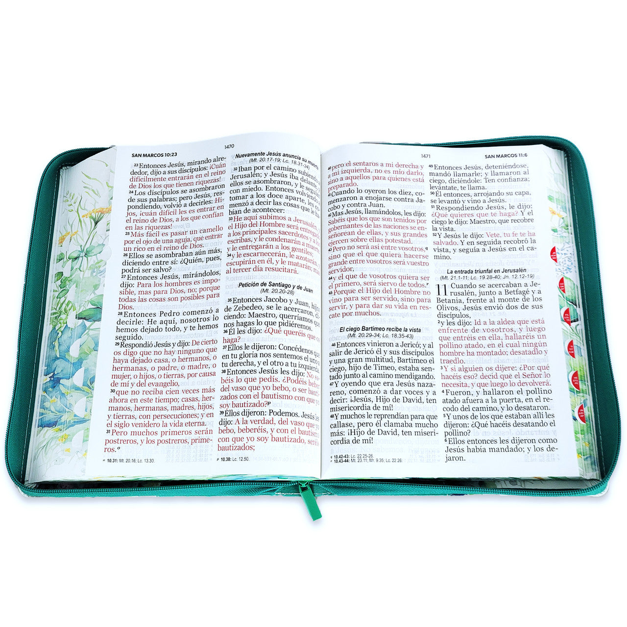 Bible with Zipper, Super Giant Print, 19-point, RV1960, imitation leather, green floral butterfly, with index and floral edge