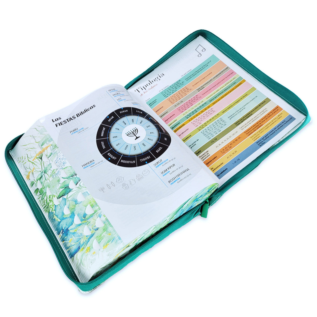 Bible with Zipper, Super Giant Print, 19-point, RV1960, imitation leather, green floral butterfly, with index and floral edge