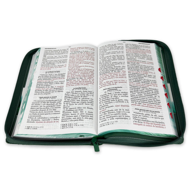 Large Print 12 point Zipper Bible RV1960 imitation forest green leather with forest index and edge