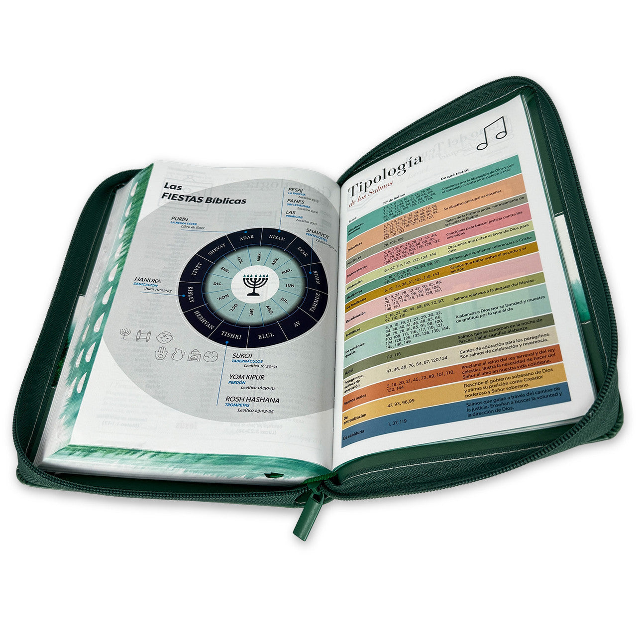 Large Print 12 point Zipper Bible RV1960 imitation forest green leather with forest index and edge