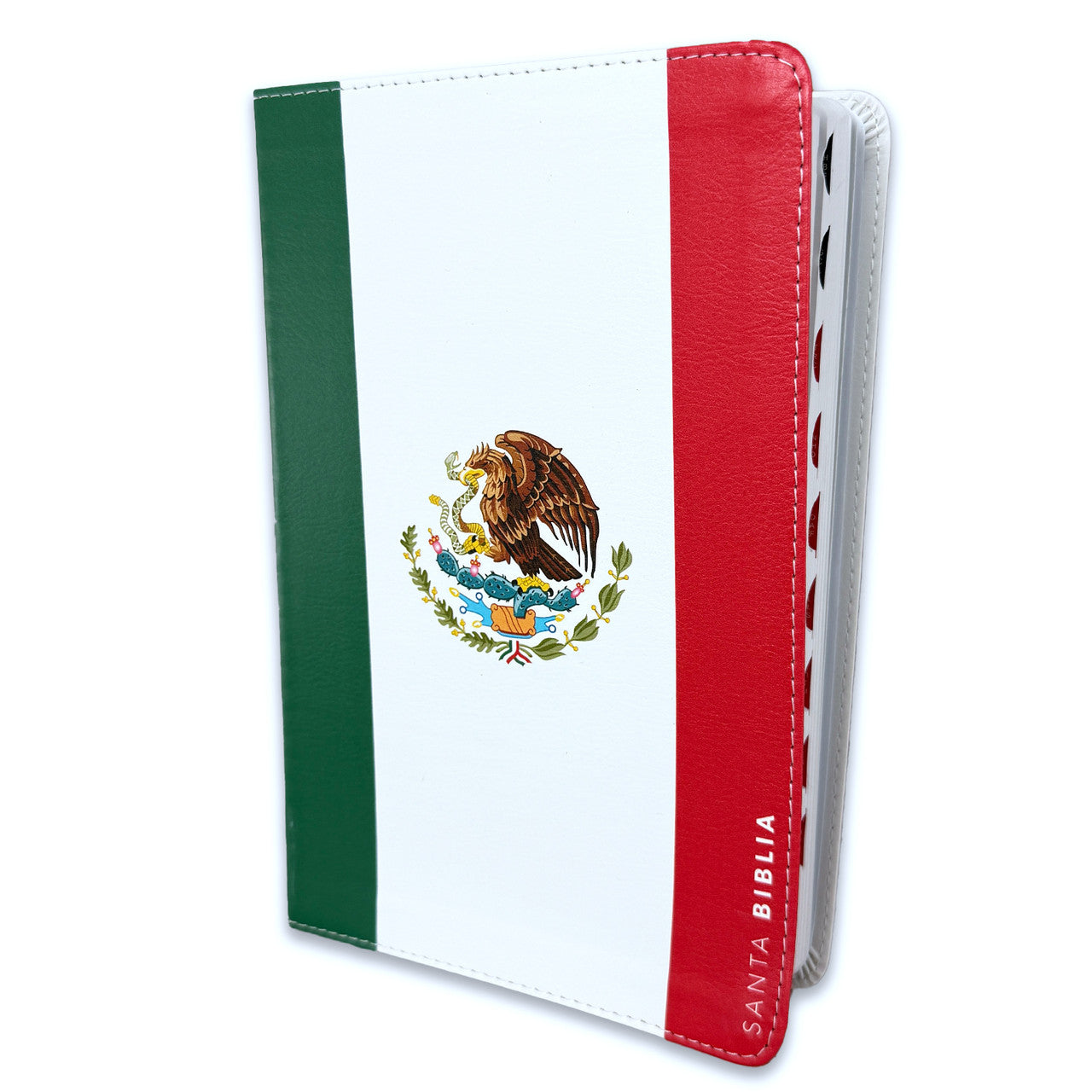 Large Print Bible 12 points RV1960 imitation leather with index - Mexico