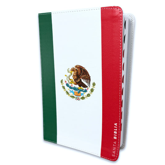 Large Print Bible 12 points RV1960 imitation leather with index - Mexico