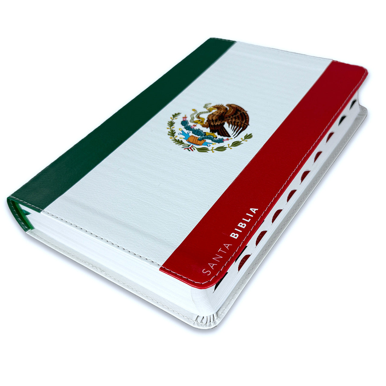 Large Print Bible 12 points RV1960 imitation leather with index - Mexico