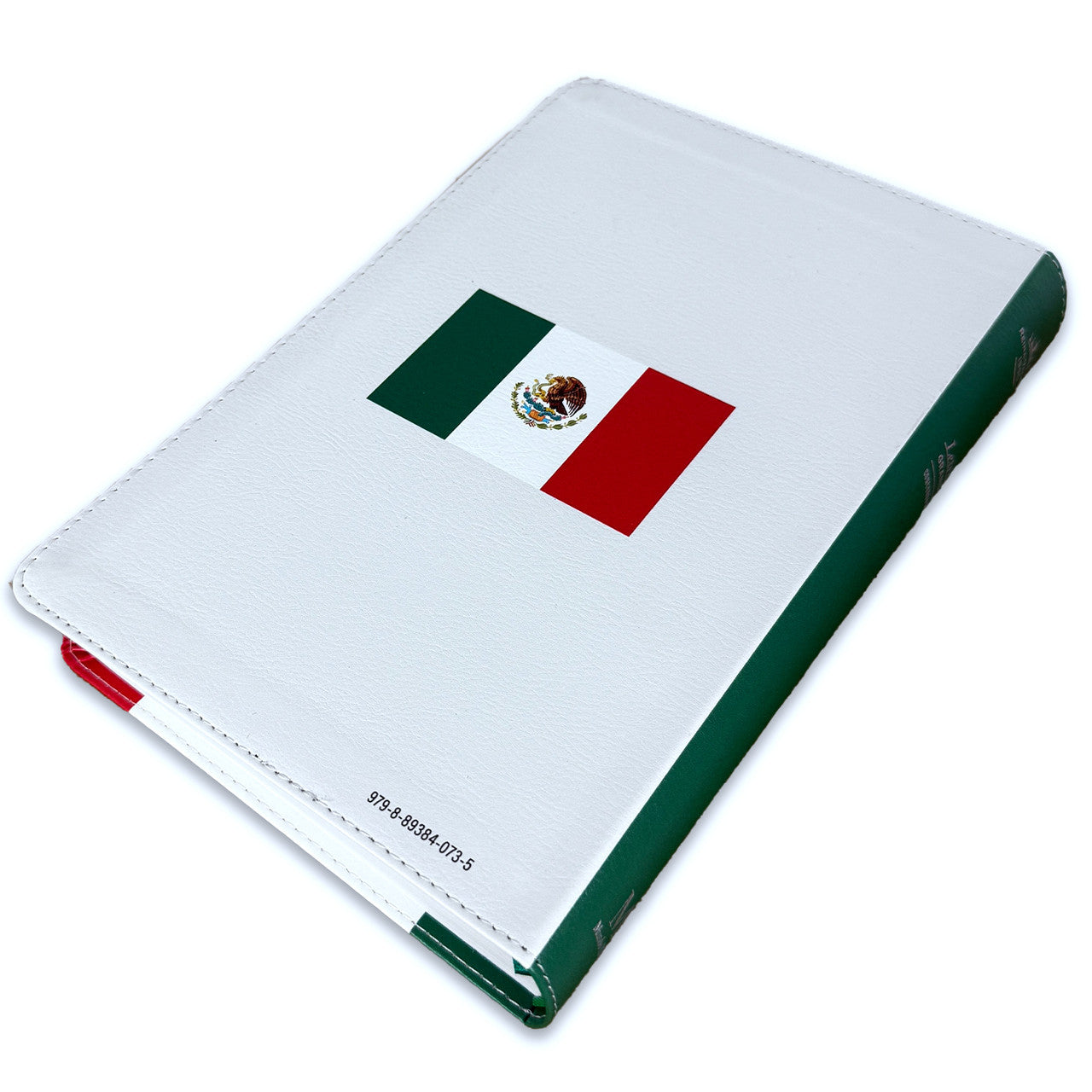 Large Print Bible 12 points RV1960 imitation leather with index - Mexico
