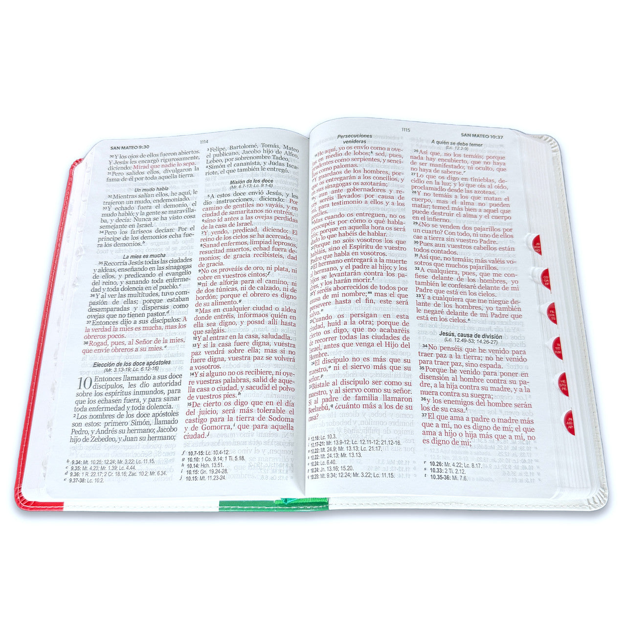 Large Print Bible 12 points RV1960 imitation leather with index - Mexico