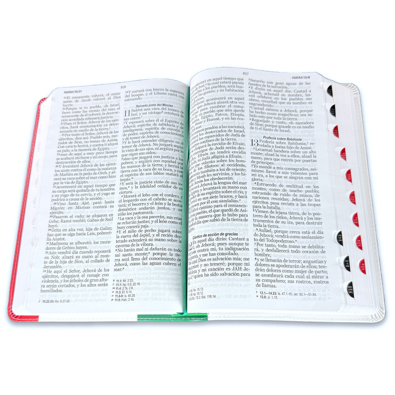 Large Print Bible 12 points RV1960 imitation leather with index - Mexico