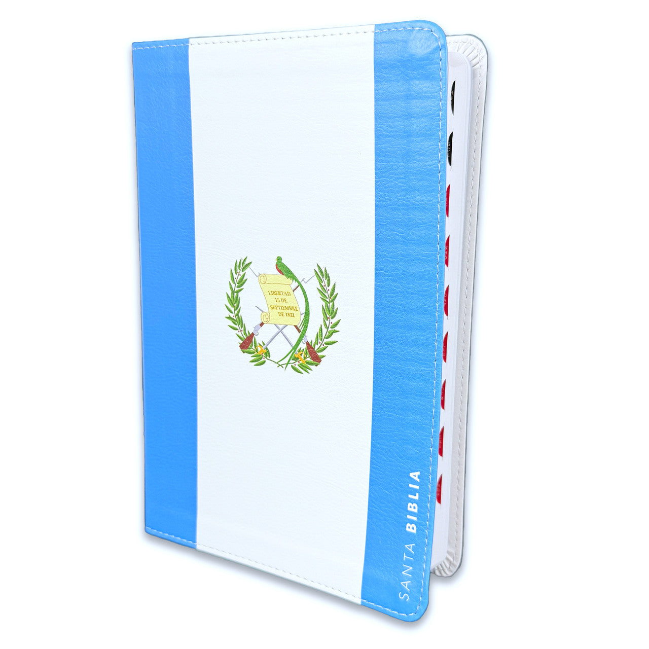 Large Print Bible 12 points RV1960 imitation leather with index - Guatemala