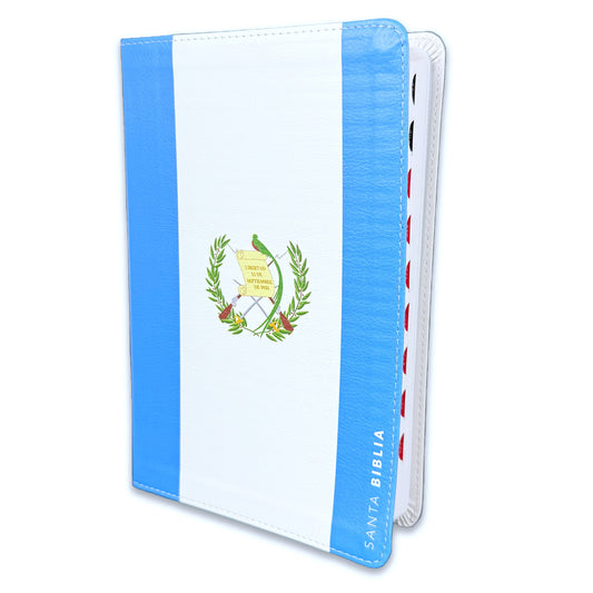 Large Print Bible 12 points RV1960 imitation leather with index - Guatemala