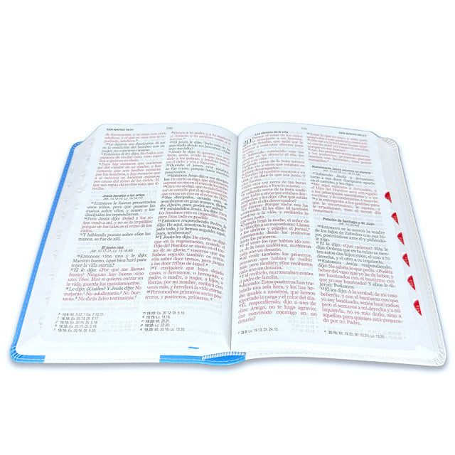 Large Print Bible 12 points RV1960 imitation leather with index - Guatemala