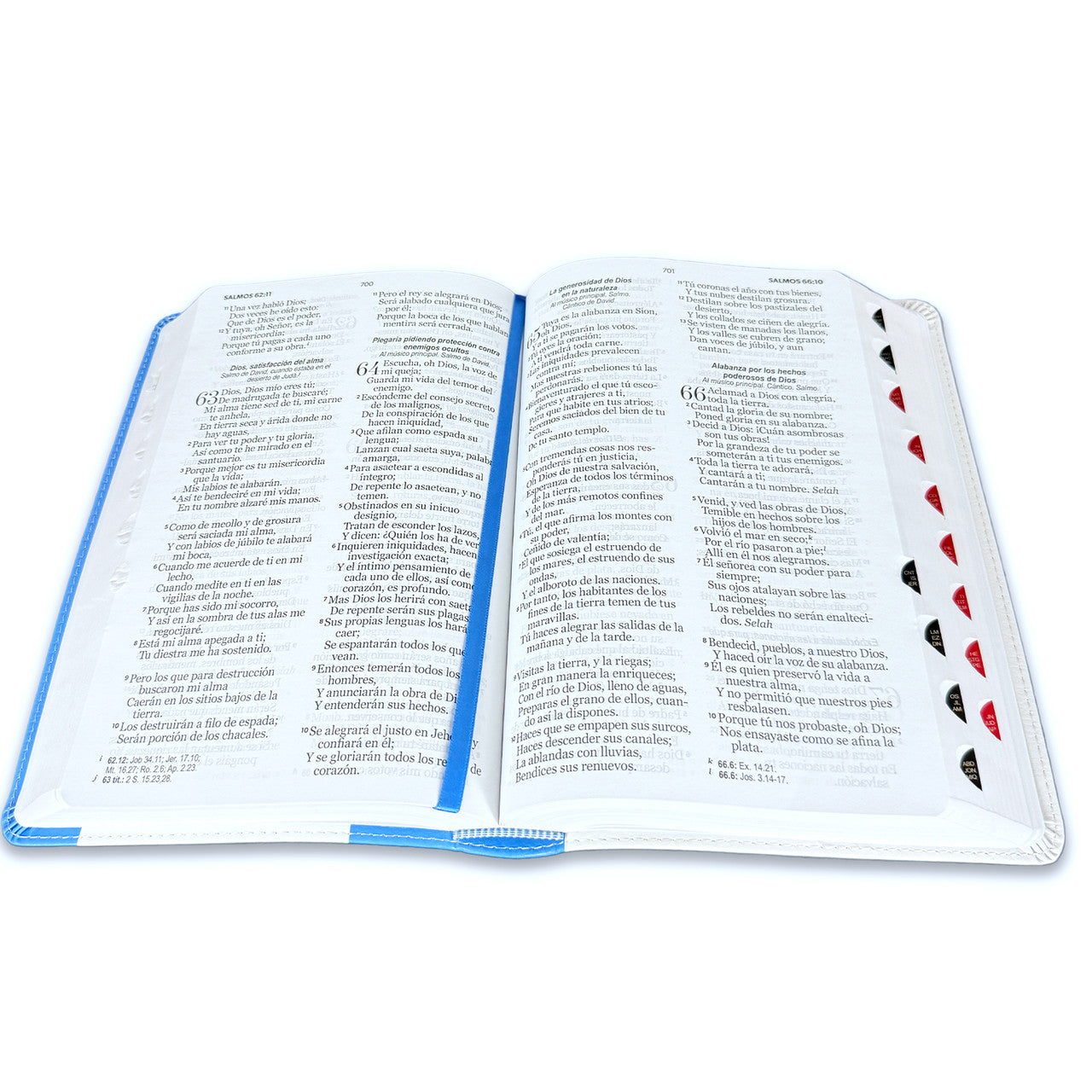 Large Print Bible 12 points RV1960 imitation leather with index - Guatemala