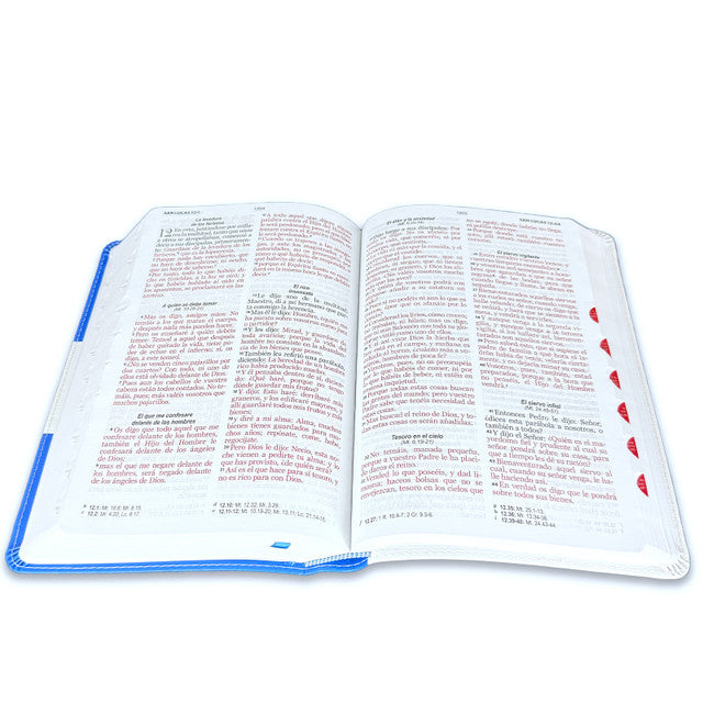 Large Print Bible 12 points RV1960 imitation leather with index - Honduras