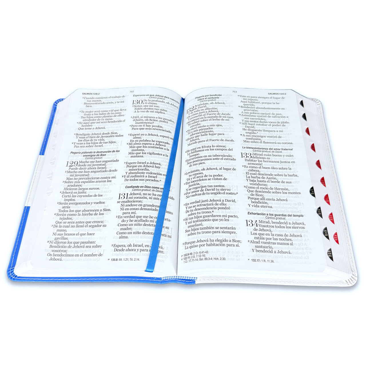 Large Print Bible 12 points RV1960 imitation leather with index - Honduras