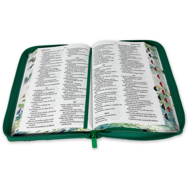 Large Print 12 point Zipper Bible RV1960 imitation leather floral butterfly green with index and floral edge