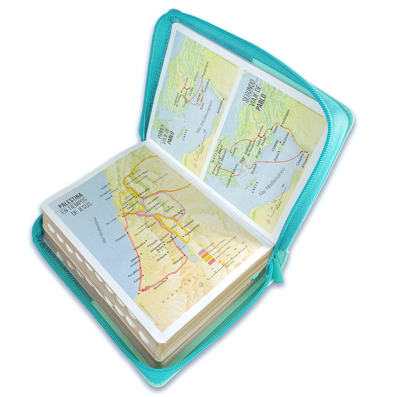 Compact 11-point Zipper Bible RV1960 imitation bifloral turquoise with index