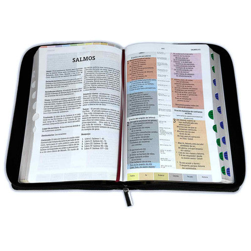 Rainbow Study Bible with RV1960 Closure imitation black leather with index - It will never leave your mouth
