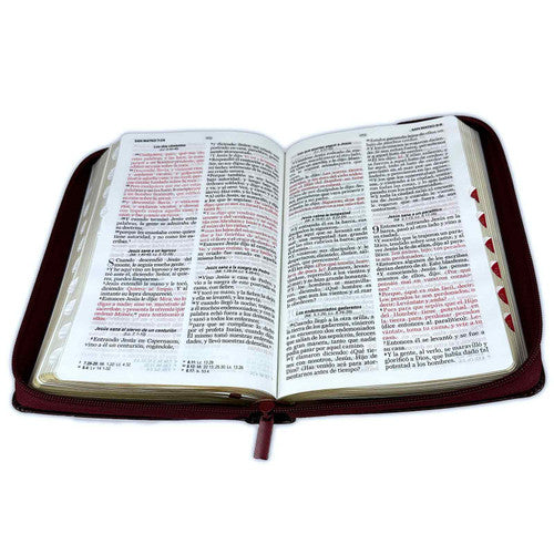 Biblia con Cierre Letra Grande 12 puntos RV1960 imit. café oscuro con índice