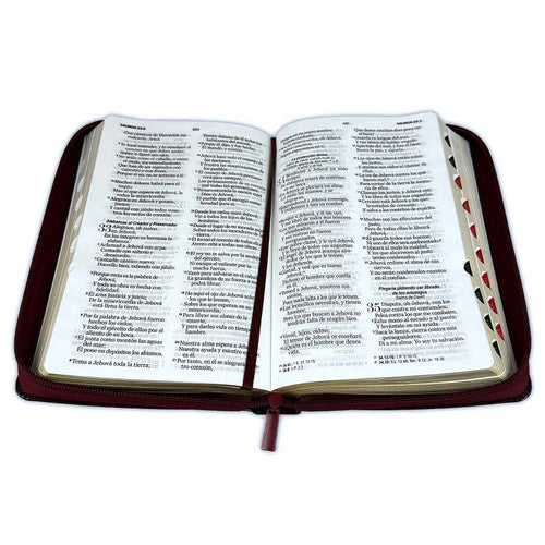 Biblia con Cierre Letra Grande 12 puntos RV1960 imit. café oscuro con índice