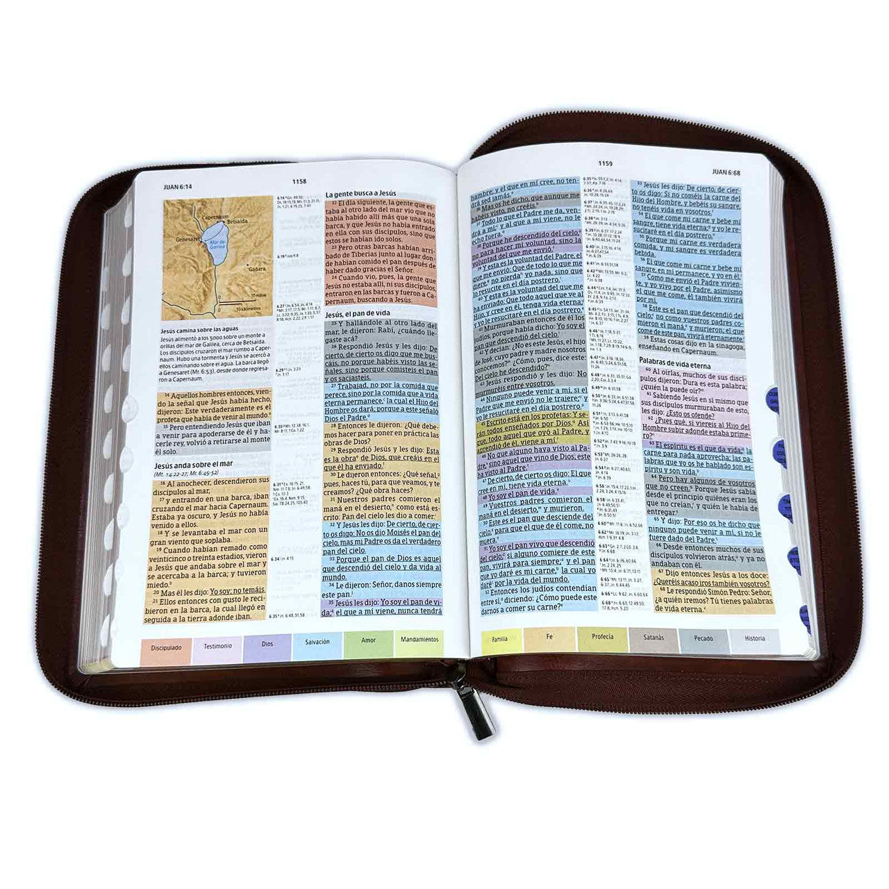 Rainbow Study Bible with RV1960 imitation leather closure chocolate with index - Psalm 119:103