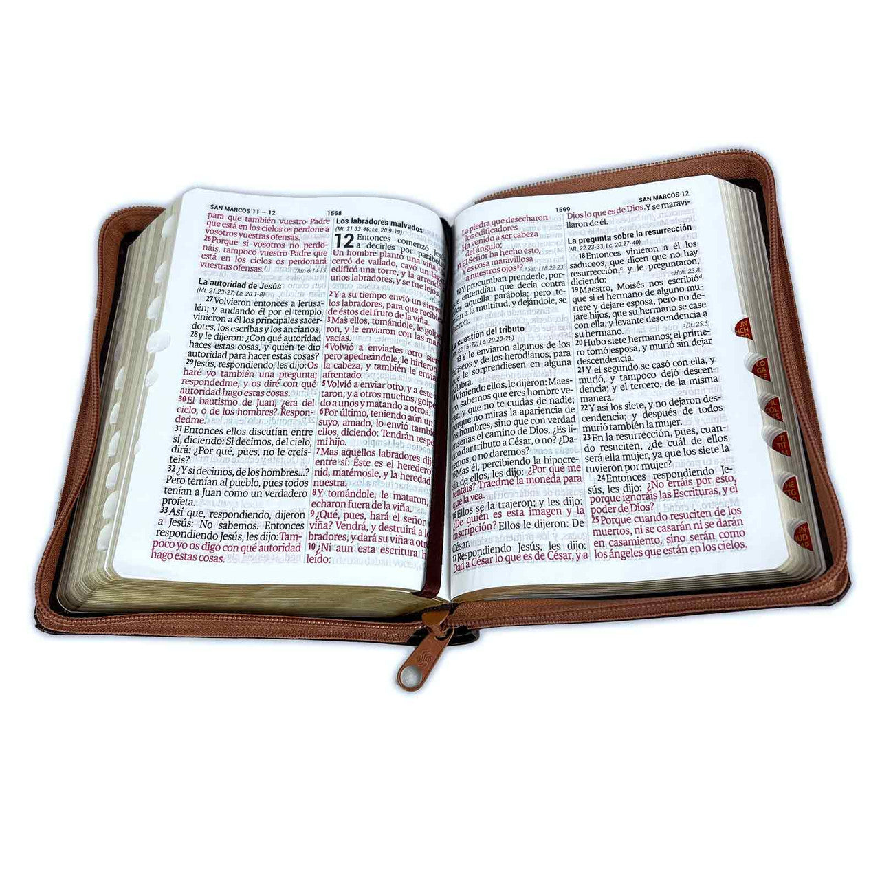 Compact Bible with RV1960 Closure: imitation. brown leather with index - spikes 