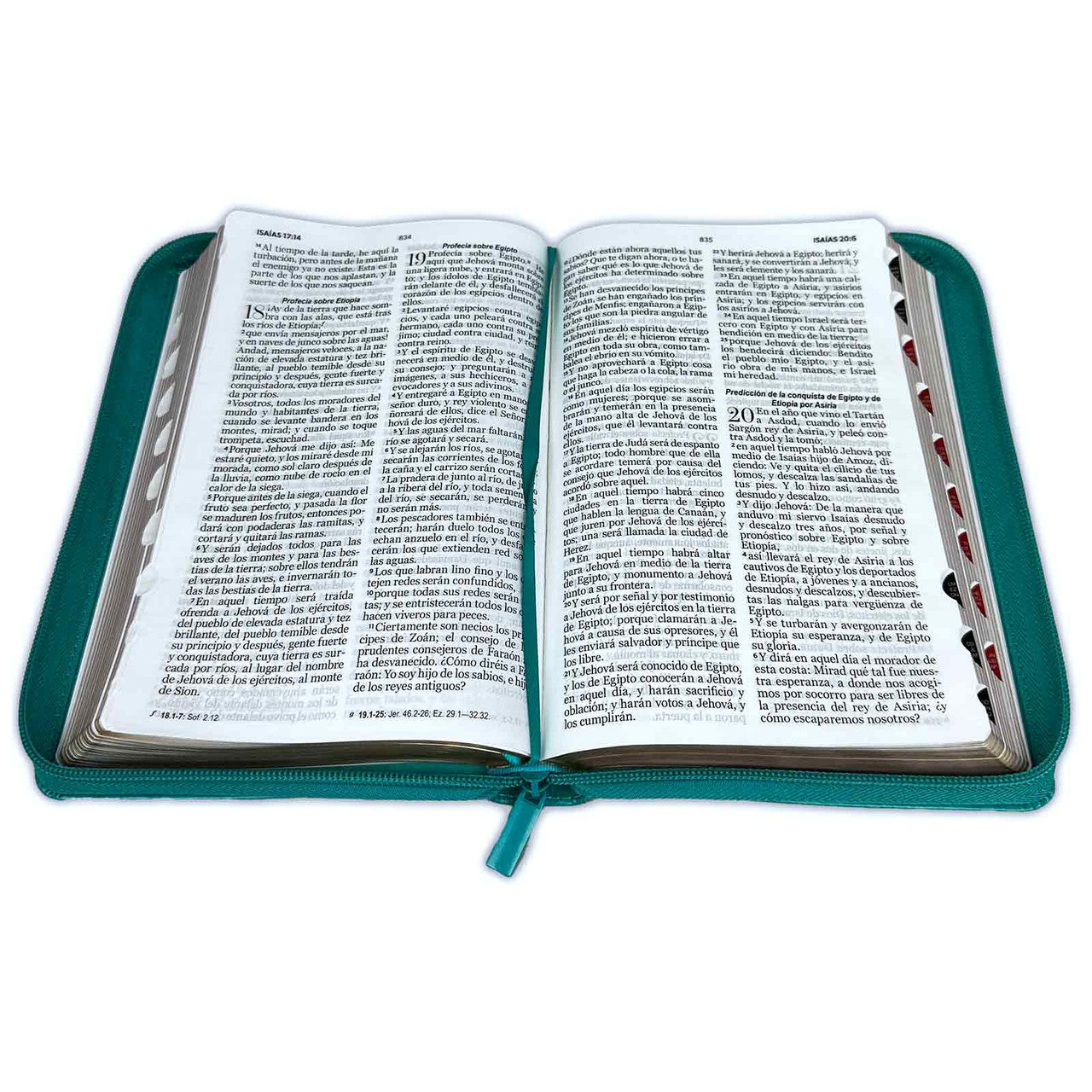 Biblia con Cierre Letra Grande 12 puntos para Mujer RV1960 imit piel turquesa y blanco con índice