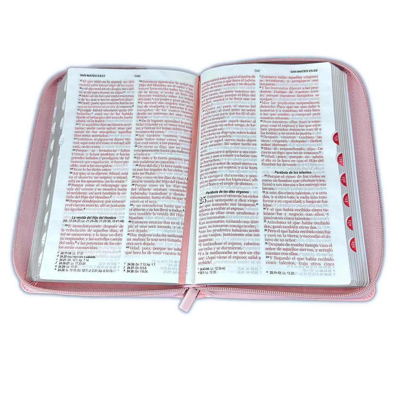 Biblia con Cierre Letra Grande 12 puntos RV1960 imit. rosa y café con índice - Todo lo puedo en Cristo