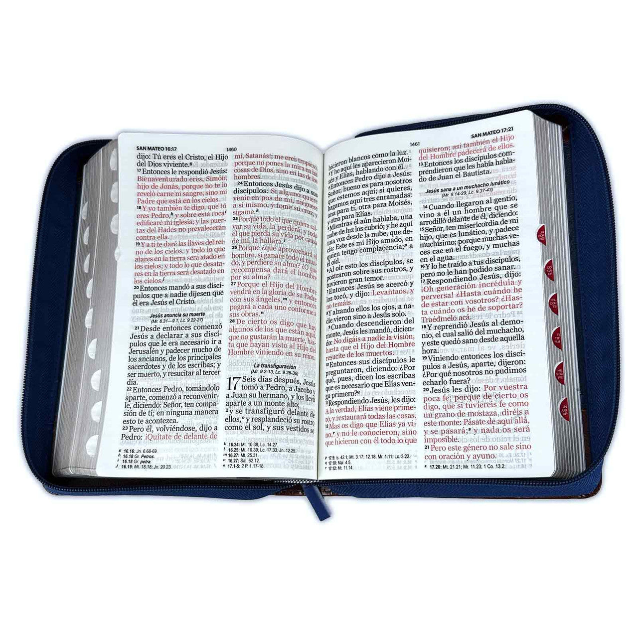 Biblia con Cierre Letra Gigante Manual 14 puntos RV1960 imit duotono azul y café con índice