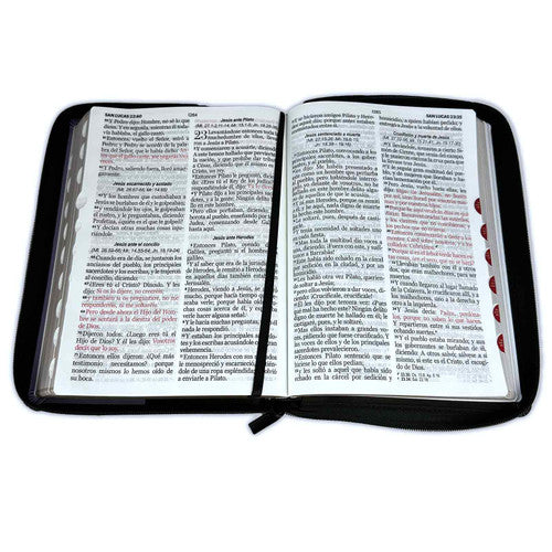 Biblia con Cierre Letra Gigante 15 puntos RV1960 imit duotono turquesa con índice