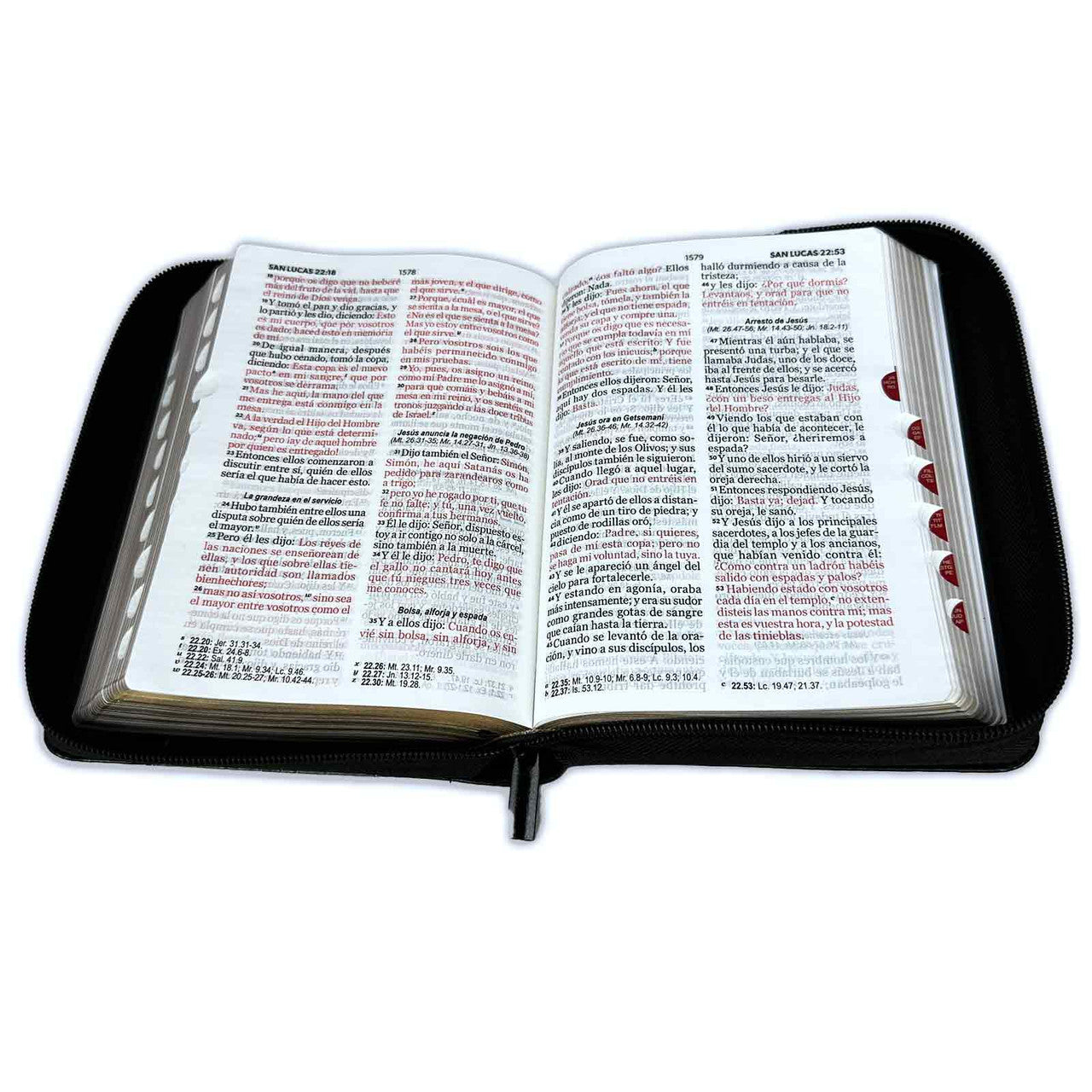 Biblia Espada con Cierre Compacta 11 puntos RV1960 imit gris y negro con índice - Hebreos 4:12