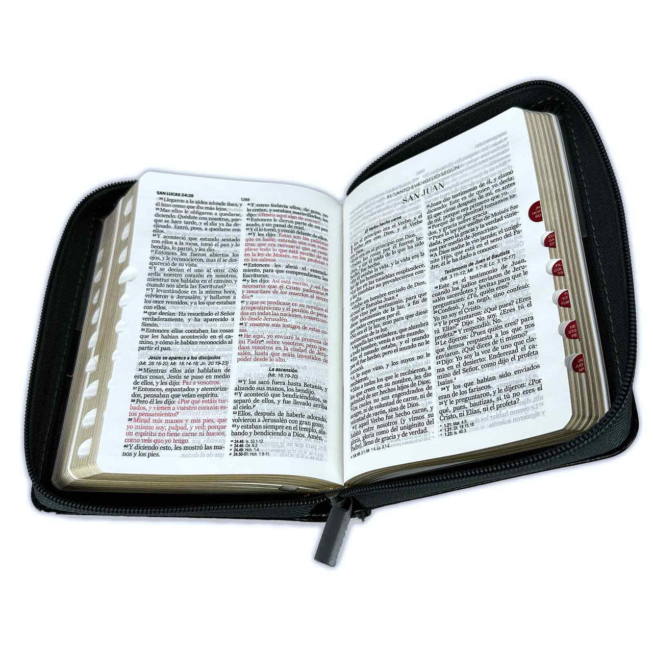 Pocket Bible with RV1960 zipper, imitation gray and black with index - The lion of the tribe of Judah