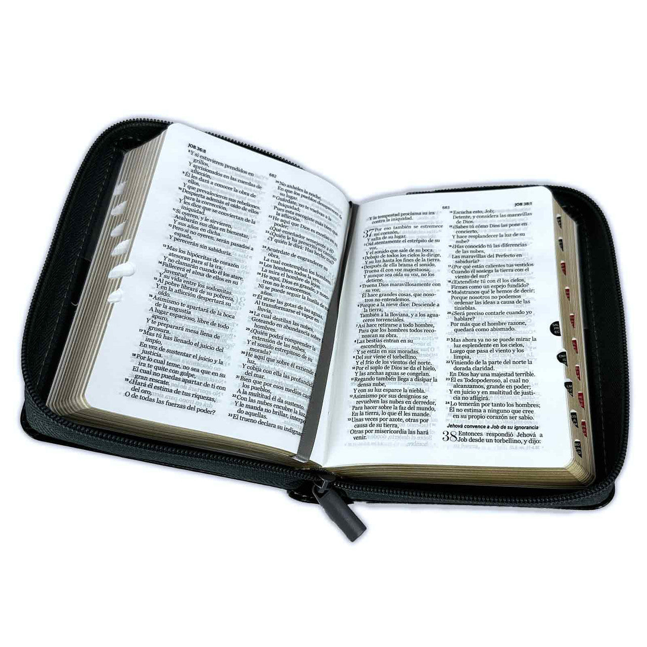 Pocket Bible with RV1960 zipper, imitation gray and black with index - The lion of the tribe of Judah