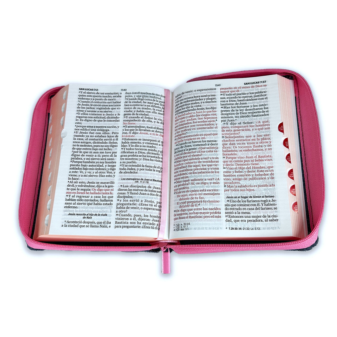 Biblia Tela Jean con Cierre Compacta 11 puntos RV1960 cinturón rosado con índice