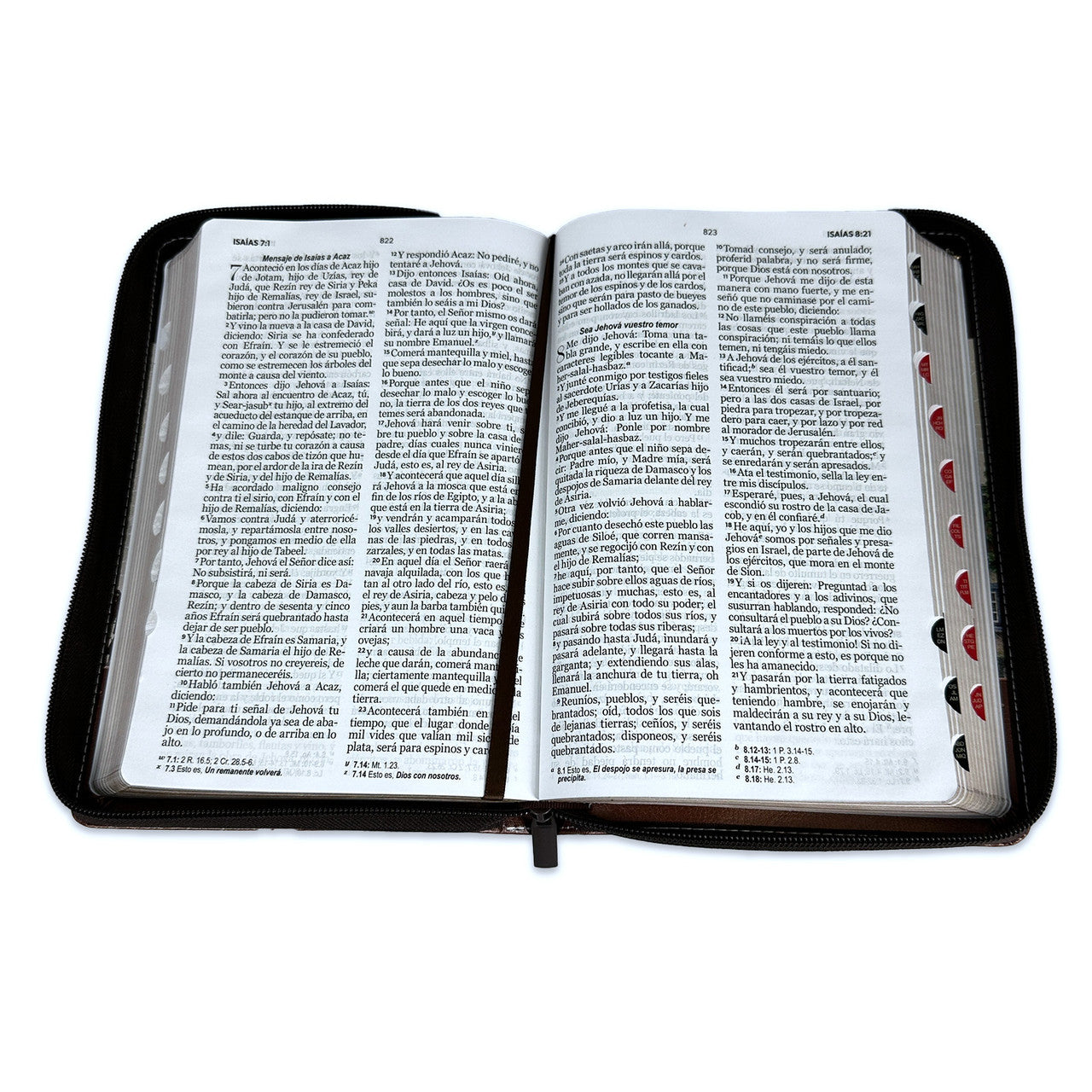 Bible with Large Print Closure 12 points RV1960 imitation. brown and scarlet floral with index 