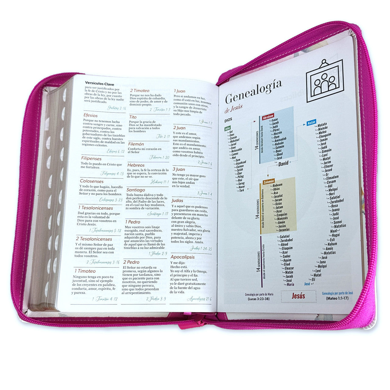 Biblia con Cierre Letra Gigante Manual 14 puntos RV1960 imit piel floral mariposas fucsia y blanco floral con índice