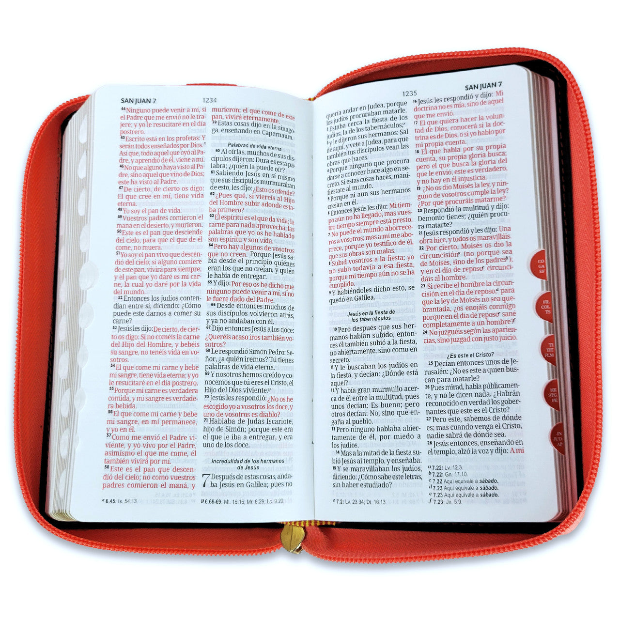 Biblia Chequera RV1960, imit. piel coral y beige con índice