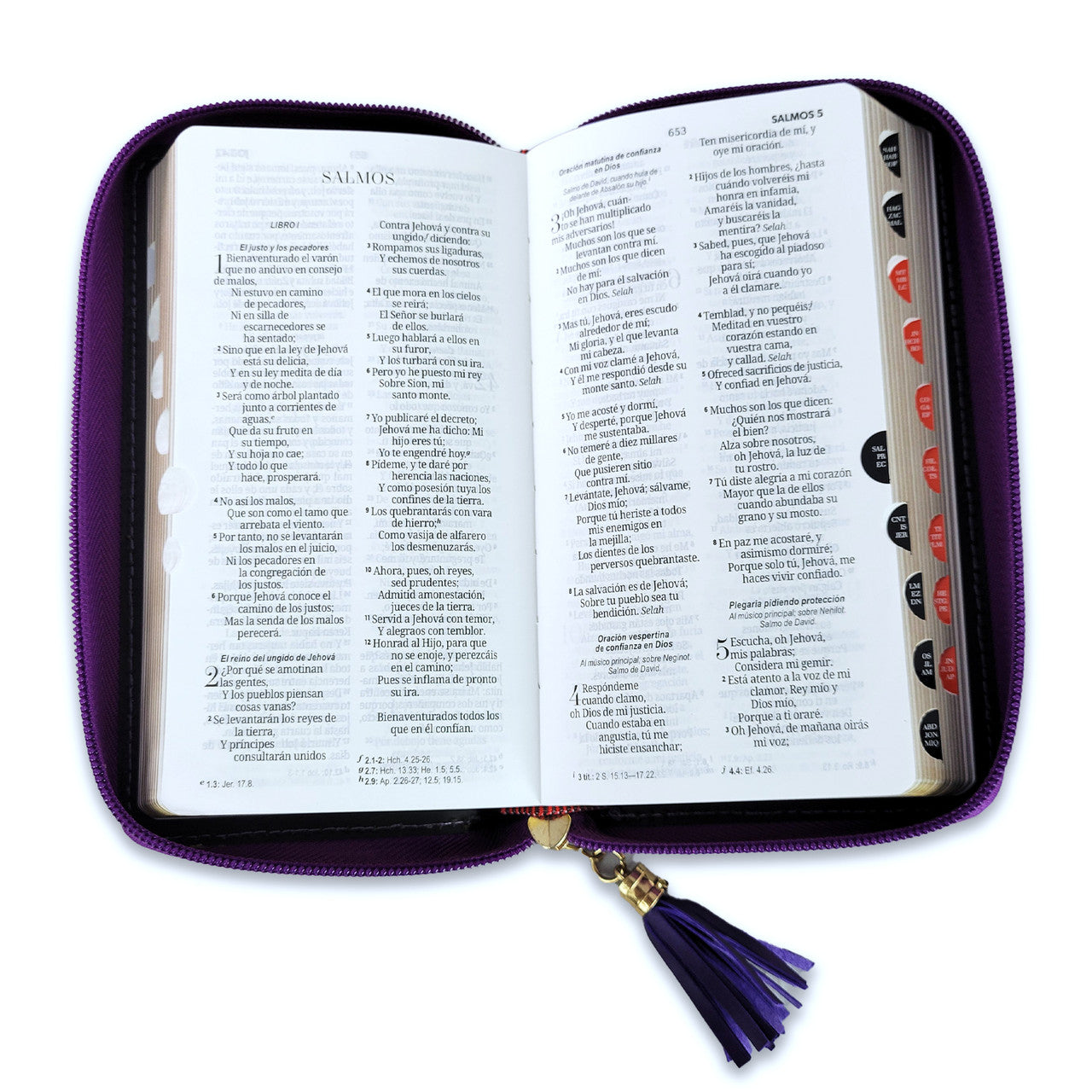 RV1960 Checkbook Bible, imitation lilac and light grey leather with index