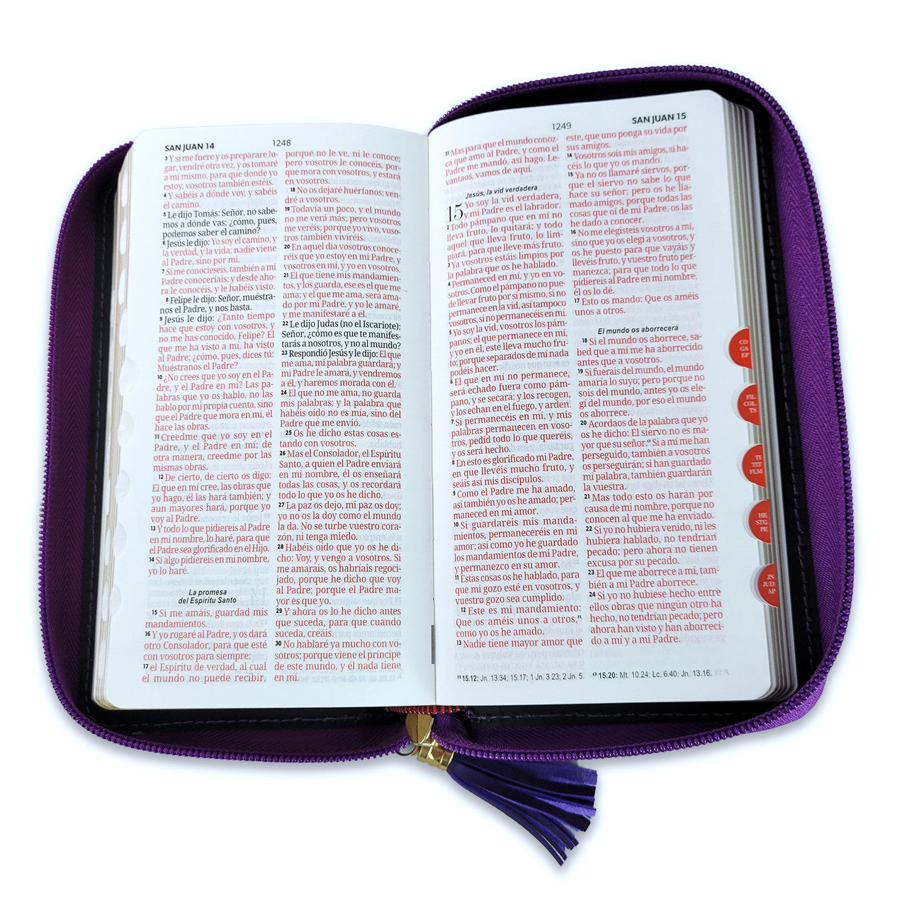 RV1960 Checkbook Bible, imitation lilac and light grey leather with index