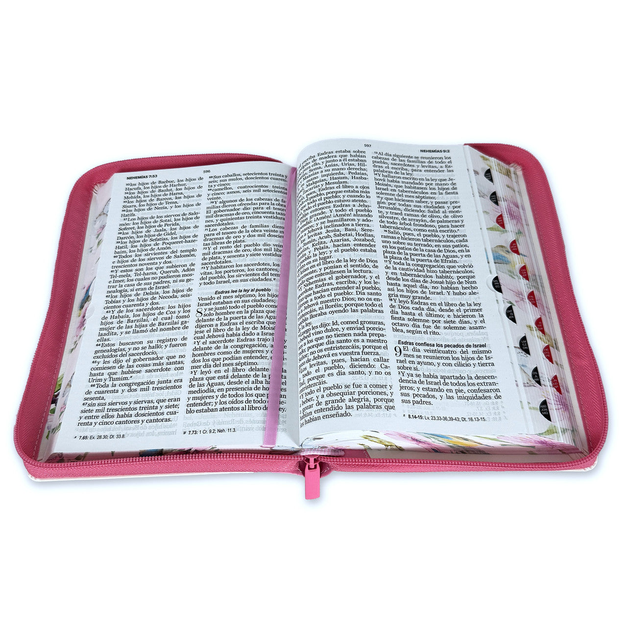 Biblia con Cierre Letra Grande 12 puntos RV1960 imit. piel rosa pajaro floral con canto pintado primaveral rosado