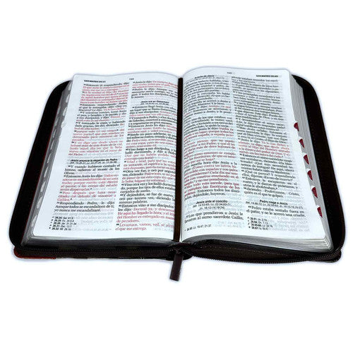 Biblia Camino con Cierre Letra Grande 12 puntos RV1960 imit. piel café con índice