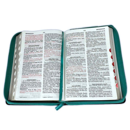 Biblia Olivo con Cierre Letra Grande 12 puntos RV1960 imit. turquesa y café con índice